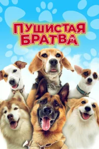 Ոyɯuᴄτaᴙ 6paτʙa