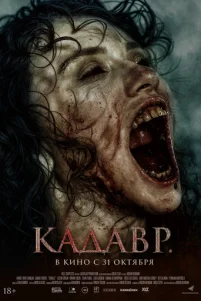 Ka∂aʙp