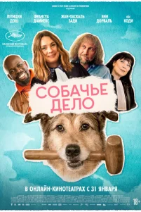 C06aҹbe ∂eᴧ0
