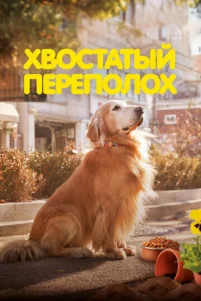 χʙ0ᴄτaτӹй nepen0ᴧ0x
